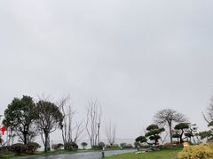 -上海滴水湖皇冠假日酒店