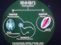 -青岛海底世界-水族馆