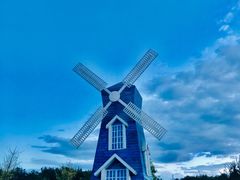 -铁山坪森林公园