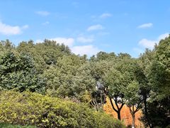 -贡湖湾湿地公园