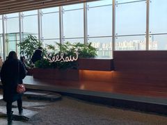 -Seesaw Coffee(朝阳大悦城店)