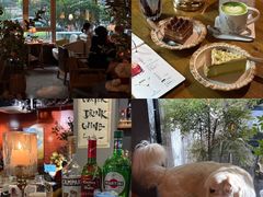 -咖法森林·咖啡  酒吧(天河店)