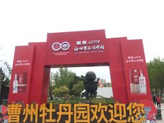 -曹州牡丹园
