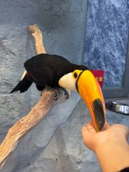 -Zoolung Zoolung动物主题公园(海信广场店)