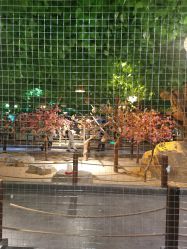 -酷嗒动物文化乐园(cutezoo西溪乐天城店)