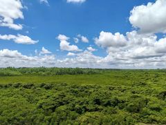 -东寨港红树林旅游区