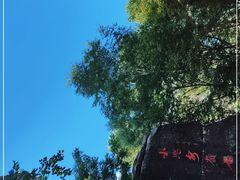 -汤旺河林海奇石景区
