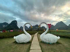 -靖西鹅泉风景区