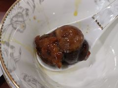 -椿不老