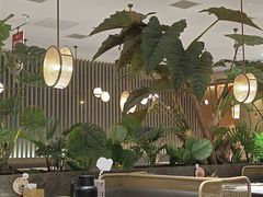 -船歌·鱼水饺青岛菜(恒隆广场店)