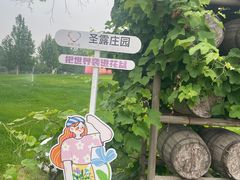 -圣露庄园·亲子活动乐园·露营·团建婚礼