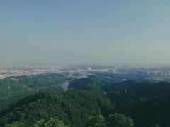 -大屏嶂森林公园