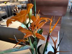 -南堂馆·新川菜(春熙路店)