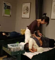 -歌曼丽草本减重