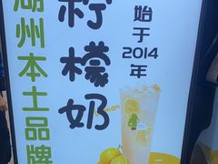 -猫的魔法密林(衣裳街店)
