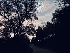 -鬼笑石后山停车场