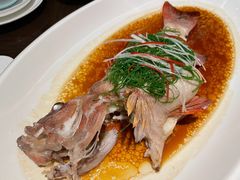 东星斑-九里云松·天香餐厅