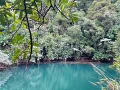 -鼎湖山风景区