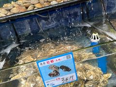 -范饭椰林川湘味海鲜·椰子鸡(三亚湾椰梦长廊店)