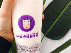 -一只酸奶牛(奎星楼店)