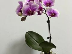-江南环球港