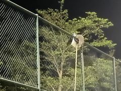 -张钰强中医正骨推拿连锁(唐家人才公寓店)
