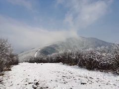 -湖州龙王山景区
