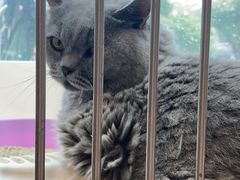 -爱宠屋pet shop·宠物洗澡·宠物美容