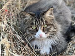 -北京西山国家森林公园