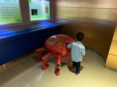 -上海昆虫博物馆