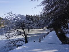 -庐山风景区花径公园