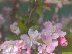 -金宫殿故址