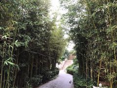 -威海天沐度假区温泉