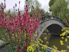 -南汇桃花村