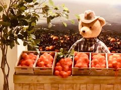 -济州岛泰迪熊博物馆