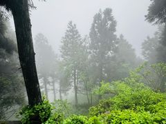 -南岳衡山风景名胜区