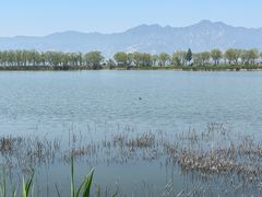 -野鸭湖国家湿地公园