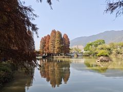 -星湖旅游景区七星岩