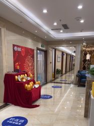 -碧莲盛·不剃发植发