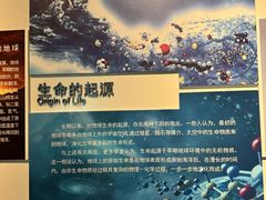 -安徽省地质博物馆