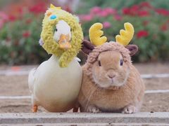 -京玉菲饭店(李村店)