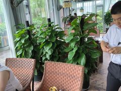 -慢丽江·云南野生菌土鸡锅(西山店)