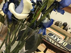 -BEAST野兽派(上海浦东嘉里城店)