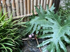 -成都市文殊院