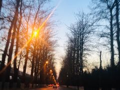 -周周有辣火锅馆(玖耀里店)