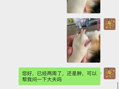 -派美特宠物医院·核磁CT·骨科肿瘤·疑难转诊(沈农禾丰店)