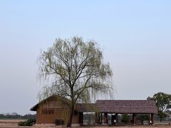 -良渚古城遗址公园