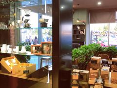 -猫屎咖啡(盐靖高速店)
