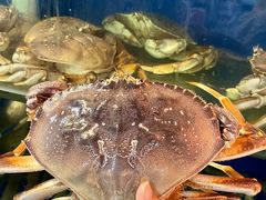 -广记海鲜(杨汊湖一店)