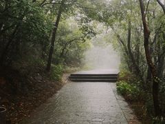 -紫金山山顶公园